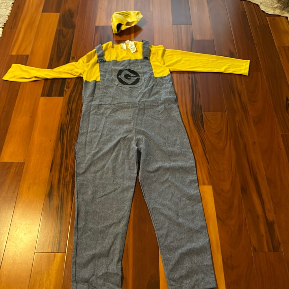 Adult minions suit